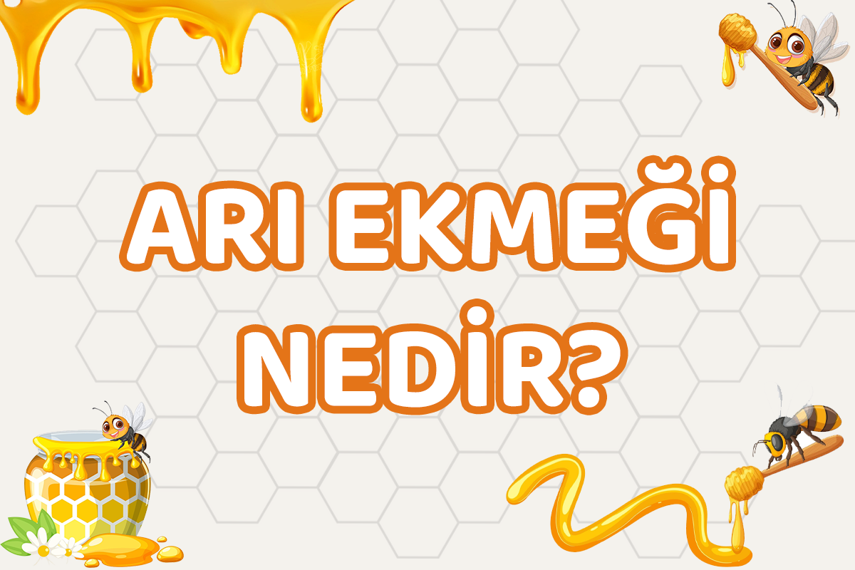 ARI EKMEĞİ NEDİR
