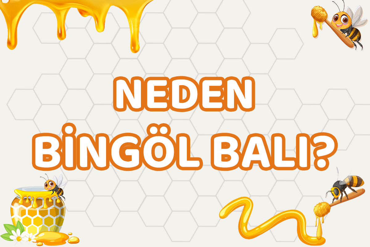 NEDEN BİNGÖL BALI