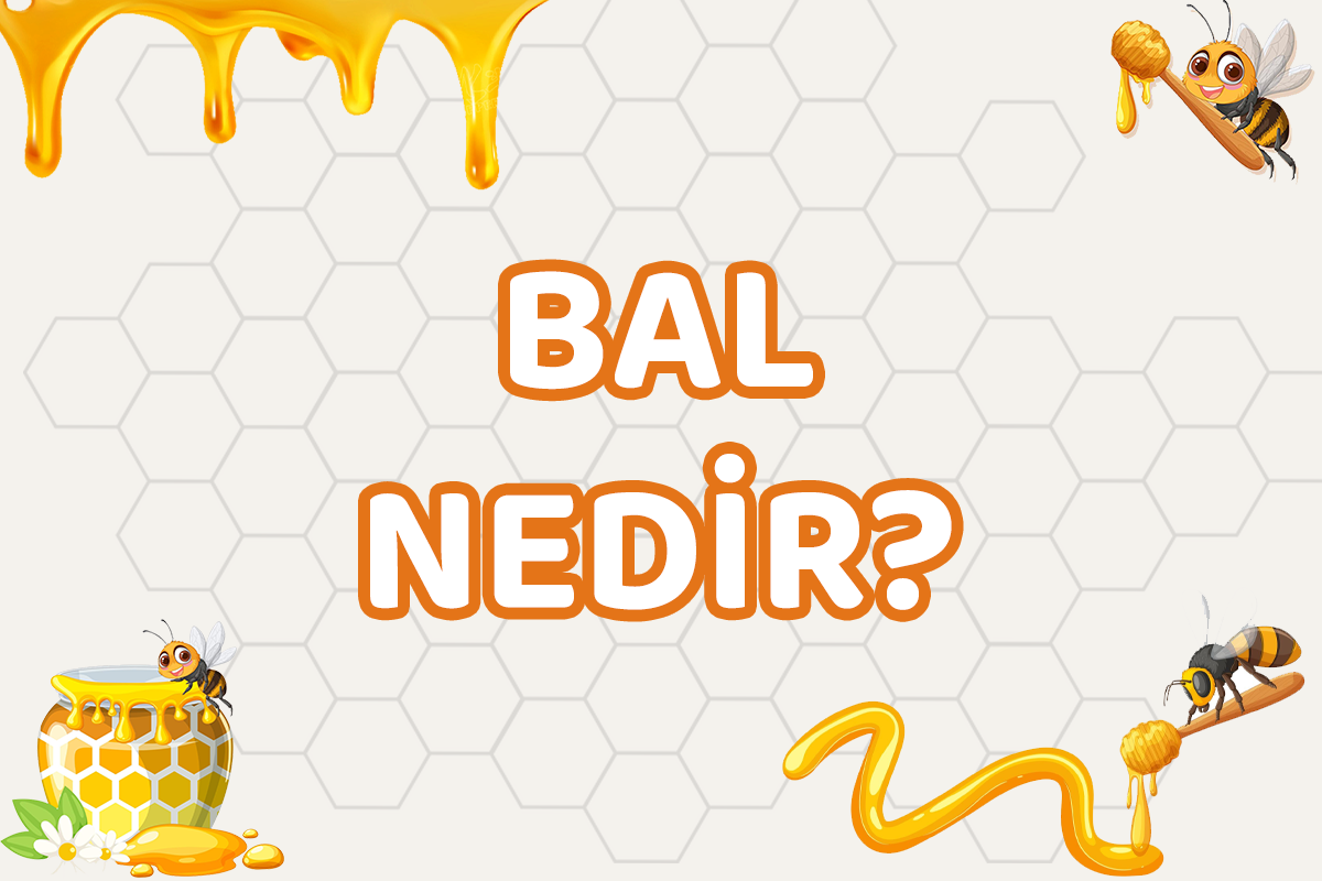 BAL NEDİR