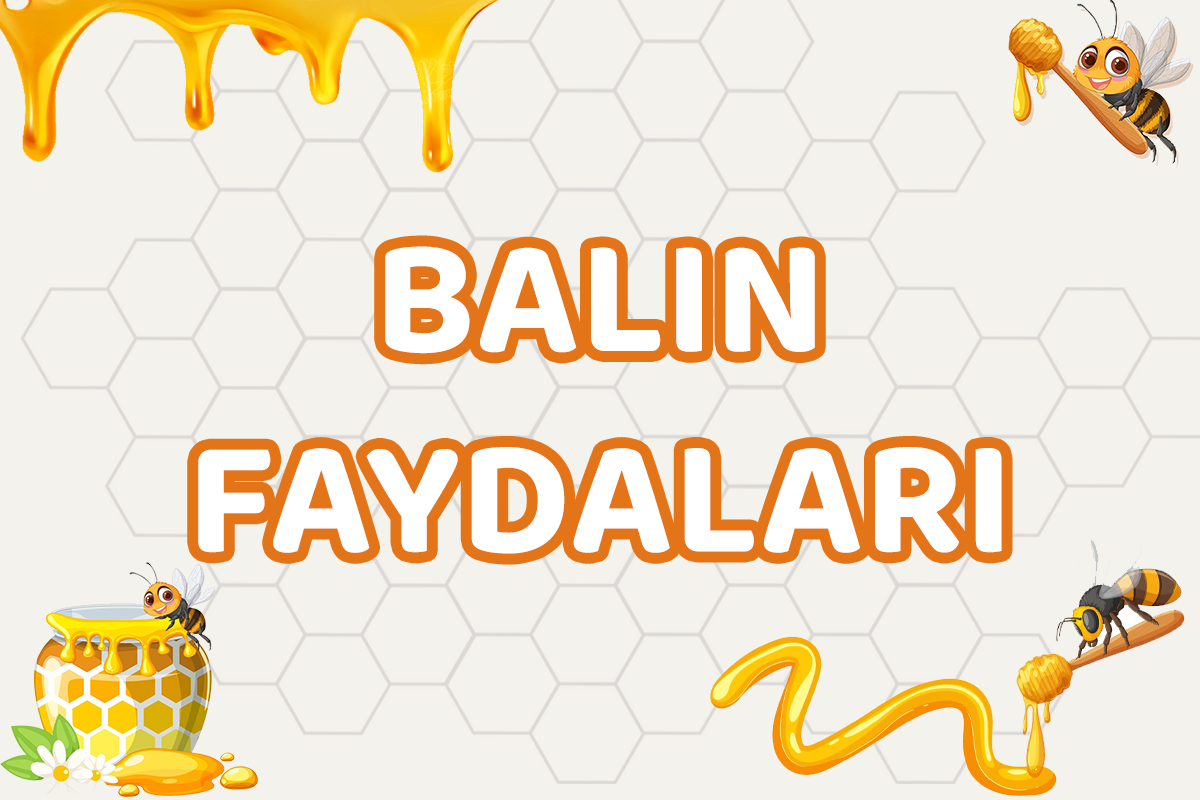 BALIN FAYDALARI
