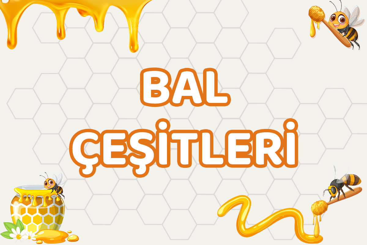 BAL ÇEŞİTLERİ