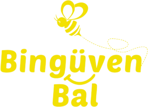 Bingüven Bal Logo